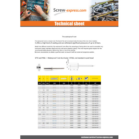 1 x Rivet Sealed Gostop Aluminum Steel rod Flat Head 4.8X14