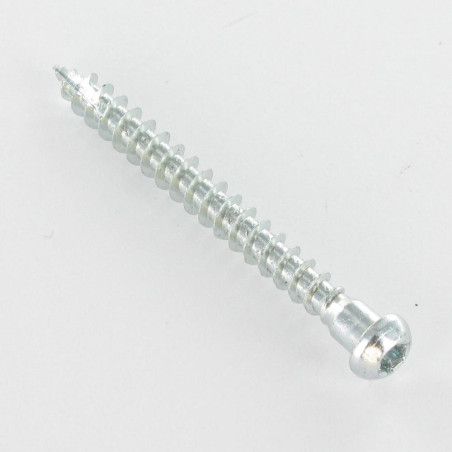 1 x Screw HARDWARE ANGULAR Pan Head T20 cut Type 17 Drilling Point Zinc Plated 5X60