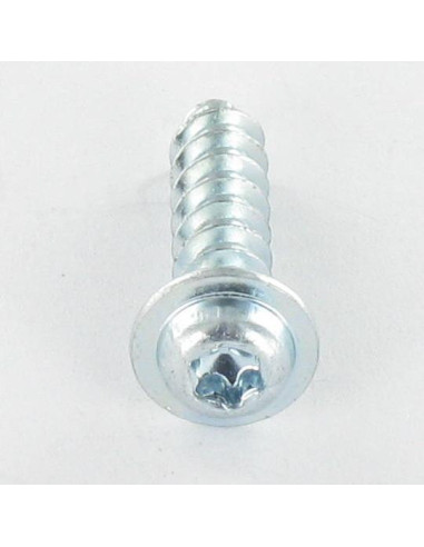 1 x Screw Plastic Pan Head T20 4X18 Without...