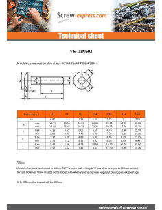 Bolt With Nut Carriage Bolt M6X60 Full Thread Zinc Plated 2