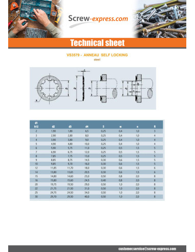 1 x Retaining Rings SELF LOCKING Diameter 28 Steel