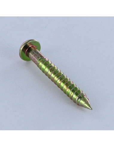 1 x Screw Stuffing Pan Head Slotted 5X35 Thread...