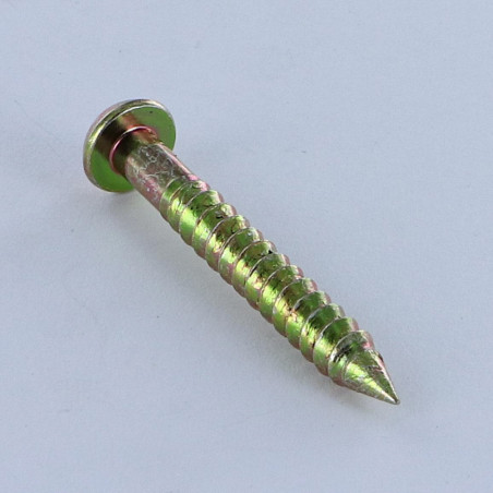 1 x Screw Stuffing Pan Head Slotted 5X35 Thread Length: 27 Yellow Zinc