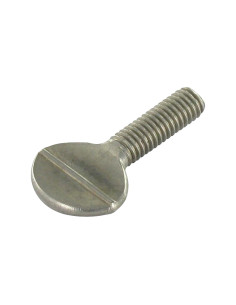 Screw VIOLIN M10X20 Stainless Steel A2