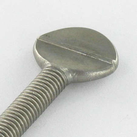 1 x Screw VIOLIN M4X12 Stainless Steel A2