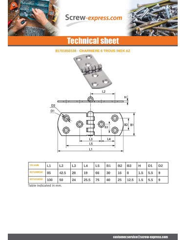 1 x Hinge Type E 6 Hole Stainless Steel A2 100X40