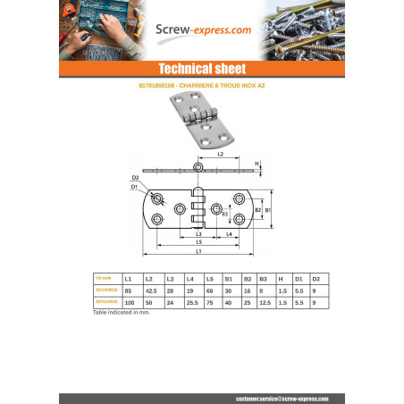 1 x Hinge Type E 6 Hole Stainless Steel A2 100X40