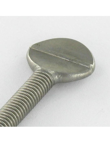 1 x Shoulderless Thumb Screw M6X25 Stainless...