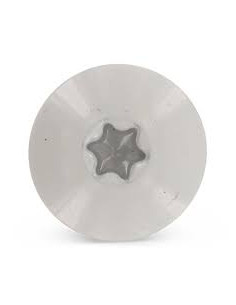 Head Facade Screws T20 5.5X38 Head Diameter: 12.3... 2