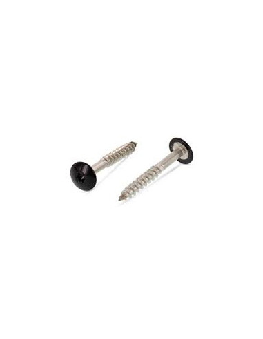 1 x Head Facade Screws T20 4.8X32 Head...