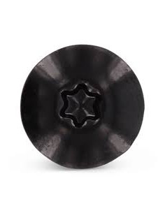 Head Facade Screws T20 4.8X32 Head Diameter: 12.3... 2