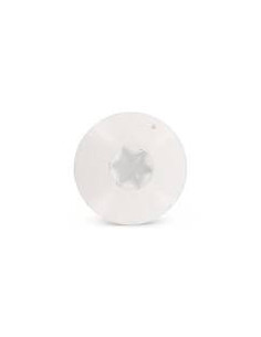 Head Facade Screws T20 4.8X25 Head Diameter: 12.3... 2