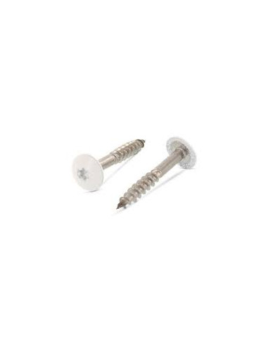 1 x Head Facade Screws T20 5.5X25 Head...