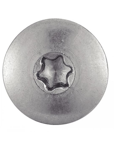 1 x Head Facade Screws T20 5.5X38 Head...