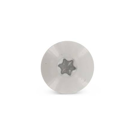 1 x Head Facade Screws T20 4.8X25 Head Diameter: 12.3 Stainless Steel A2 RAL7038