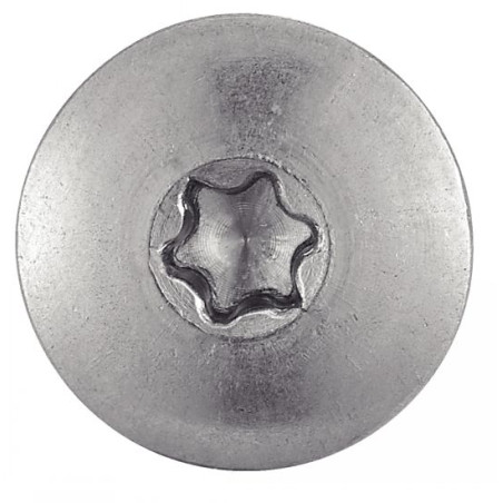 1 x Head Facade Screws T20 5.5X45 Head Diameter: 12.3 Stainless Steel A2