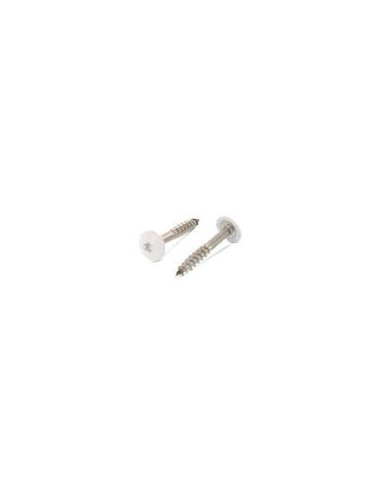 1 x Head Facade Screws T20 4.8X32 Head...
