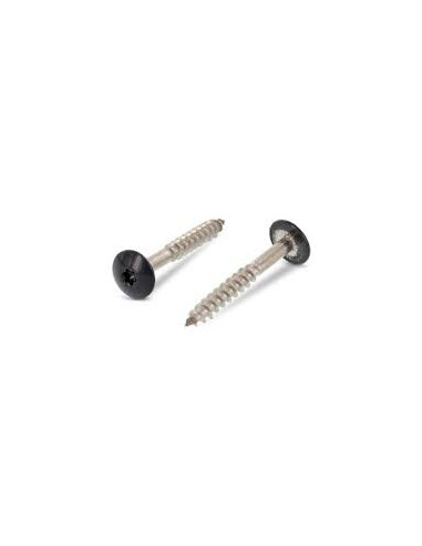 1 x Head Facade Screws T20 5.5X55 Head...