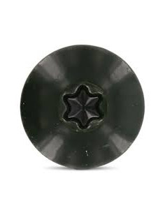 Head Facade Screws T20 4.8X32 Head Diameter: 12.3... 2