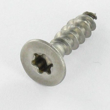 1 x Chipboard Screw Stainless Steel A2 Countersunk Head 6X180 T25