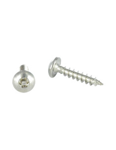 Screw Truss Security T30 with pin 6X50 Stainless Steel A2
