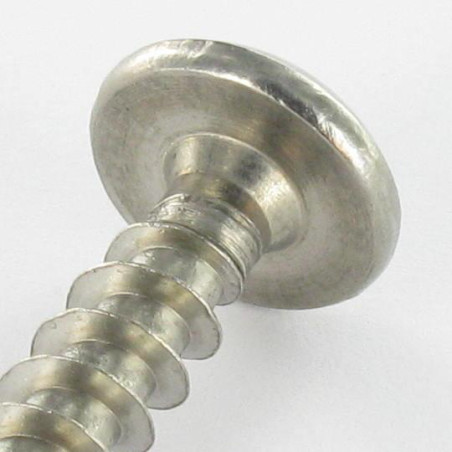 1 x Screw Truss Security T30 with pin 6X50 Stainless Steel A2