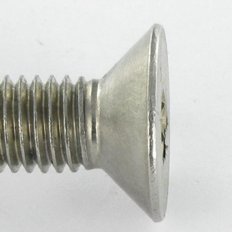 1 x Machine Screw Stainless Steel A2 Security Flat Head Hexagon Recess Hexagon Socket 4 with pin M6X20