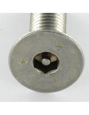 1 x Machine Screw Stainless Steel A2 Security...