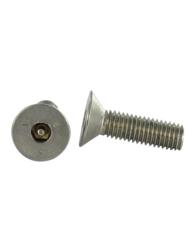 1 x Machine Screw Stainless Steel A2 Security...