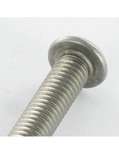 1 x Machine Screw Security BHC+TETON M6X16...