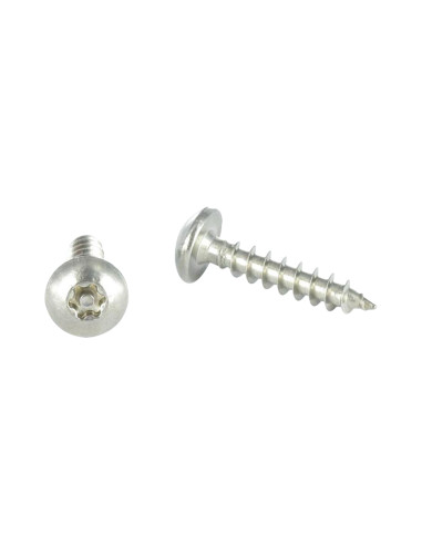 1 x Screw Truss Security T30 with pin 6X40...