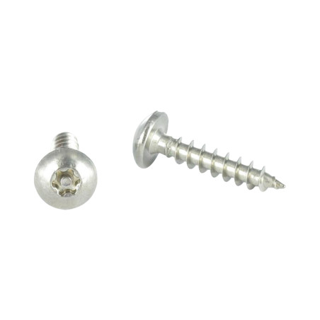 1 x Screw Truss Security T30 with pin 6X40 Stainless Steel A2