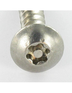 Screw Truss Security T30 with pin 6X40 Stainless Steel A2 2