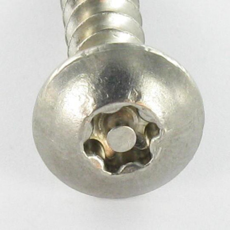 1 x Screw Truss Security T30 with pin 6X40 Stainless Steel A2