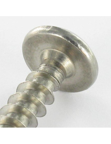 1 x Screw Truss Security T30 with pin 6X40...