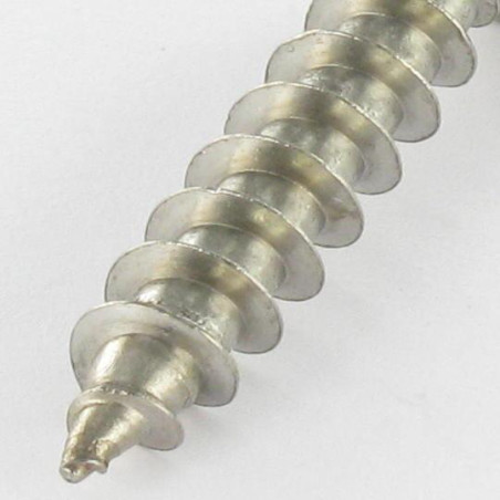 1 x Screw Truss Security T30 with pin 6X40 Stainless Steel A2