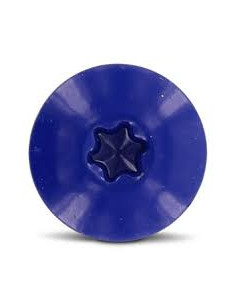 Head Facade Screws T20 4.8X38 Head Diameter: 12.3... 2