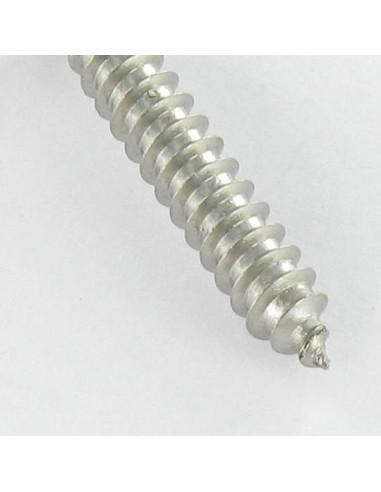 1 x Thread Rolling Screw Security Countersunk...