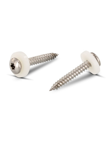 1 x Thread Rolling Screw Pan Head T15 + Washer...
