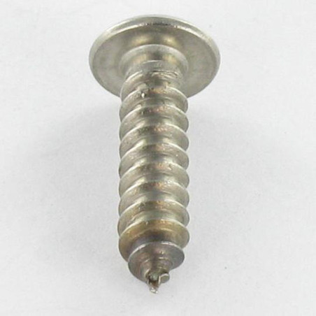 1 x Thread Rolling Screw Security Stainless Steel A2 Pan Head T10 with pin 3.5X19