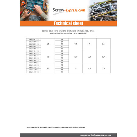 1 x Thread Rolling Screw Security Pan Head ONE WAY 2.9X9.5 Stainless Steel A2