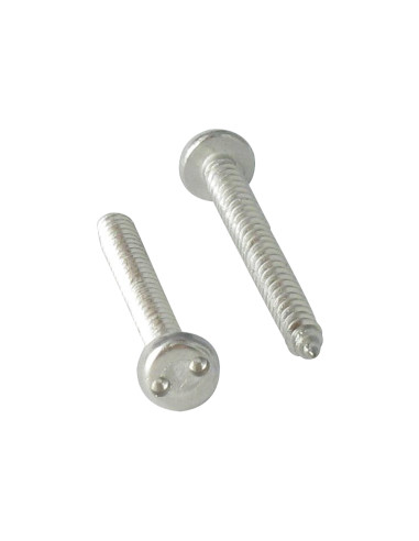 1 x Thread Rolling Screw Security Pan Head...