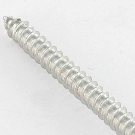 1 x Thread Rolling Screw Security Pan Head SNAKE EYES 4.2X25 Stainless Steel A2