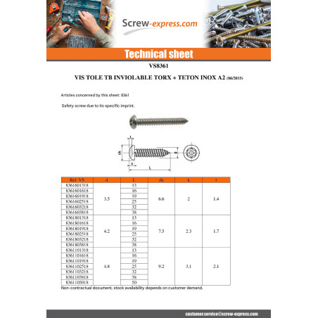 1 x Thread Rolling Screw Security Stainless Steel A2 Pan Head T25 with pin 4.8X25