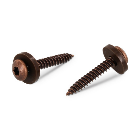 1 x Thread Rolling Screw Pan Head T15 + Washer Nylon 3.9X19 Stainless Steel A2 Brown
