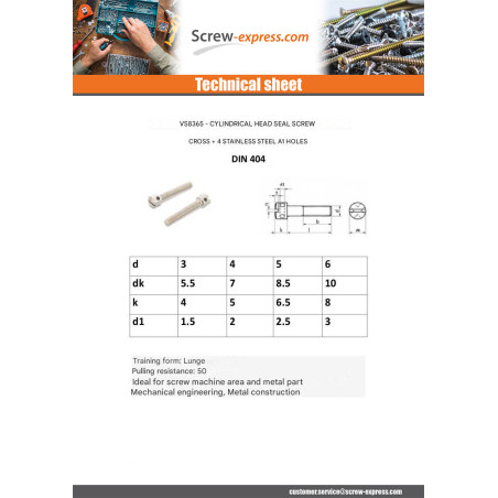 1 x Machine Screw Pan Head With Hole In Cross 4 Hole Stainless Steel A1 5X8