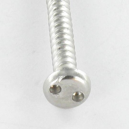 1 x Thread Rolling Screw Security Pan Head SNAKE EYES 4.8X38 Stainless Steel A2