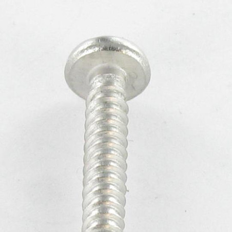 1 x Thread Rolling Screw Security Pan Head SNAKE EYES 4.8X38 Stainless Steel A2