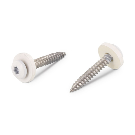 1 x Thread Rolling Screw Pan Head T15 + Washer Nylon 3.9X19 Stainless Steel A2 White