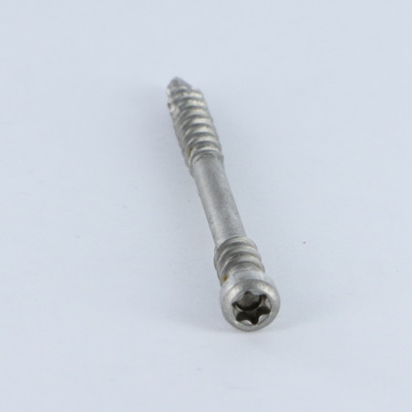 1 x Spax Decking Screw Pan Head T25 5X60 Stainless Steel A2